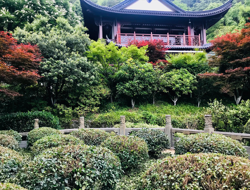 龍井茶的傳說 西湖龍井的歷史由來-3