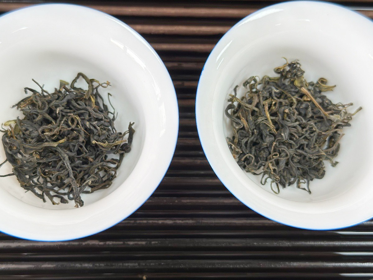 李時珍和六堡茶-3